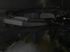 자동 수직 고속 누들 무게 및 포장 기계