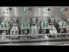 고속 8두 확장 백 자동 포장기